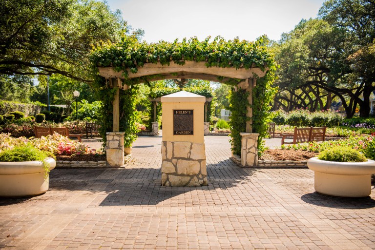 Helen's Garden League City Nature
